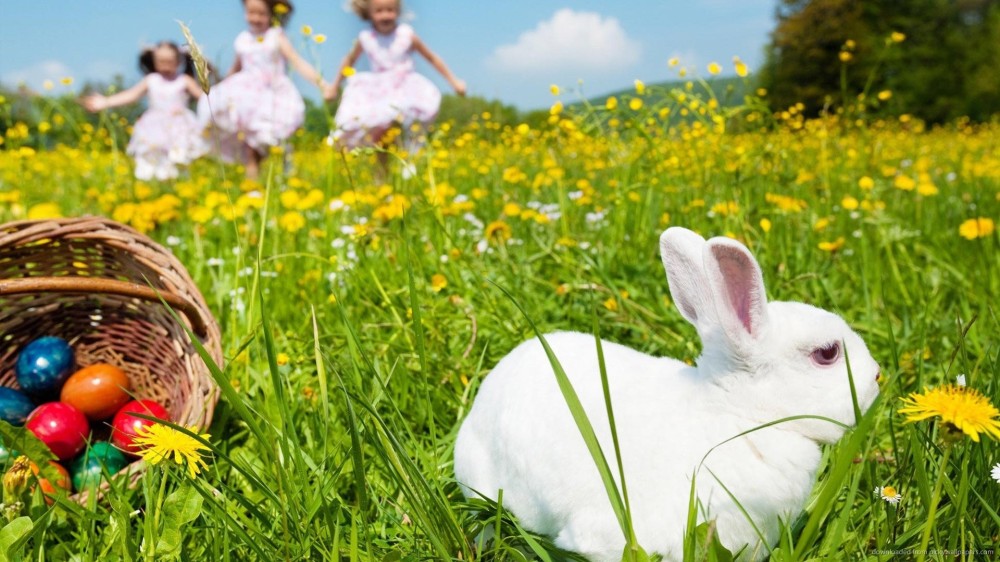 girls-and-white-rabbit-in-grass.jpg